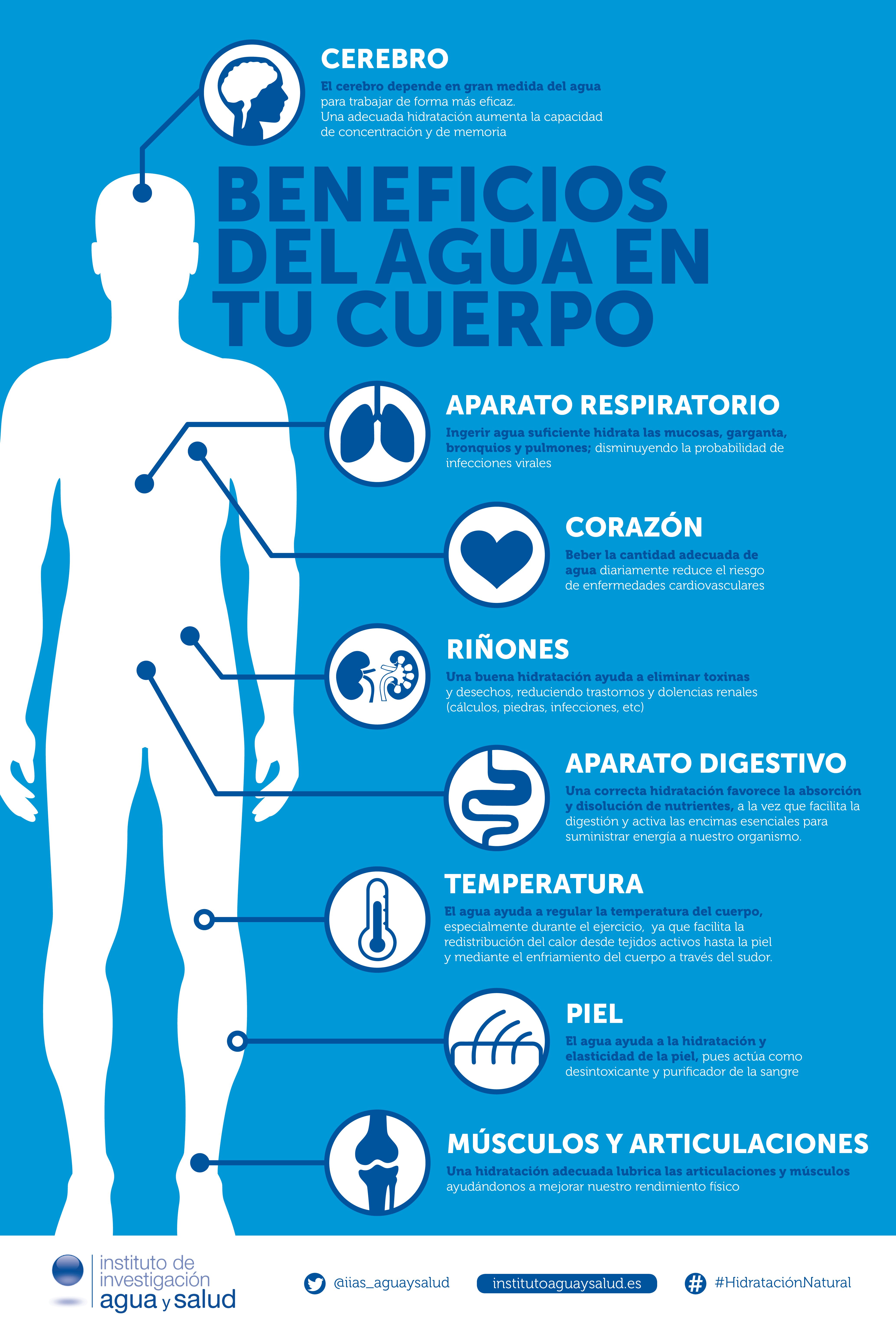 beneficios de beber agua